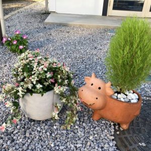 植木鉢｜ありがとう日記｜幸せ夢工場｜