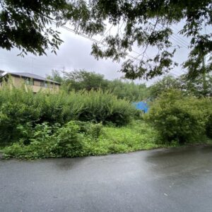 見違えるように！！｜ありがとう日記｜幸せ夢工場｜