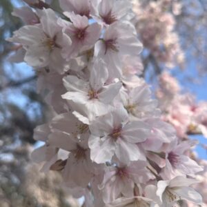 わくわくドキドキ✨｜ありがとう日記｜幸せ夢工場｜