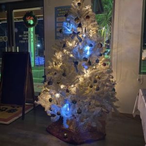 メリークリスマス☆｜ありがとう日記｜幸せ夢工場｜