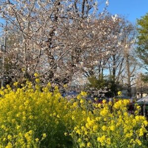 ｜ありがとう日記｜幸せ夢工場｜