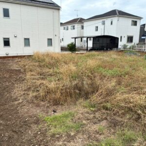 同時開催✨そして🌿が・・・｜ありがとう日記｜幸せ夢工場｜