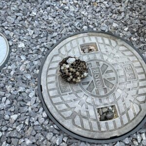 蜂🐝｜ありがとう日記｜幸せ夢工場｜