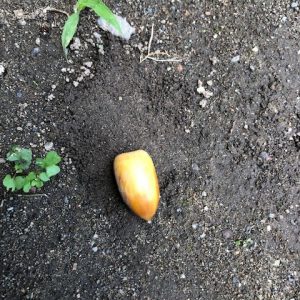 ｜ありがとう日記｜幸せ夢工場｜