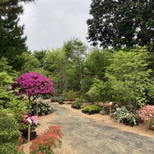 実家です！｜ありがとう日記｜幸せ夢工場｜