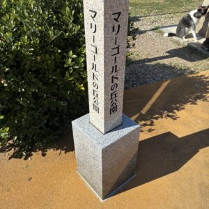 見ごろでした｜ありがとう日記｜幸せ夢工場｜