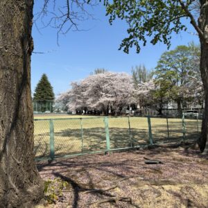 季節を感じました｜ありがとう日記｜幸せ夢工場｜