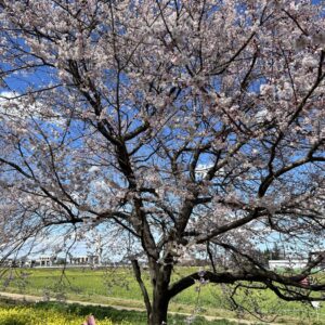 もうすぐ。。。。｜ありがとう日記｜幸せ夢工場｜