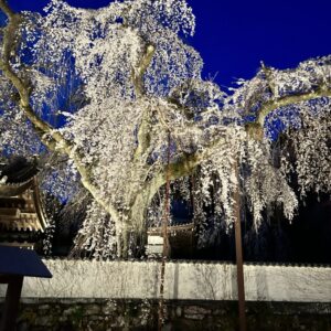 この季節になりました｜ありがとう日記｜幸せ夢工場｜