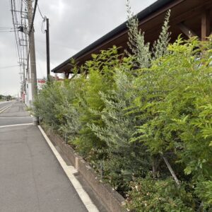 さっぱり～🌳｜ありがとう日記｜幸せ夢工場｜