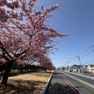春の訪れを感じる季節｜ありがとう日記｜幸せ夢工場｜
