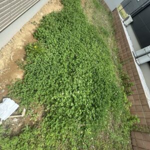 お引渡し前掃除✨｜ありがとう日記｜幸せ夢工場｜