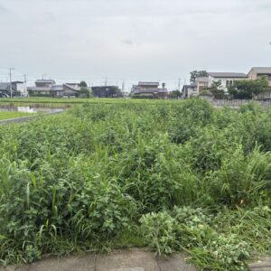 変化していきます・・・｜ありがとう日記｜幸せ夢工場｜