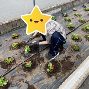 夏に向けて｜ありがとう日記｜幸せ夢工場｜