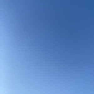 暖かくなってきましたね｜ありがとう日記｜幸せ夢工場｜