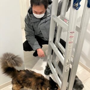 お引渡し後に伺って。｜ありがとう日記｜幸せ夢工場｜