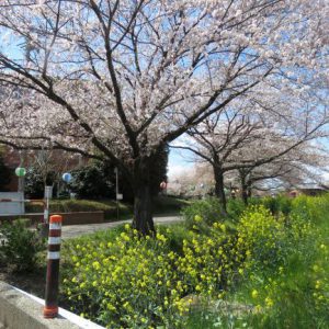 コラボレーション☆｜ありがとう日記｜幸せ夢工場｜