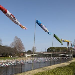 たくさんの・・・｜ありがとう日記｜幸せ夢工場｜