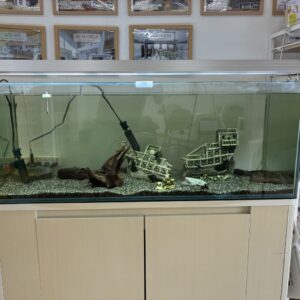 水槽｜ありがとう日記｜幸せ夢工場｜