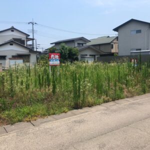 草｜ありがとう日記｜幸せ夢工場｜