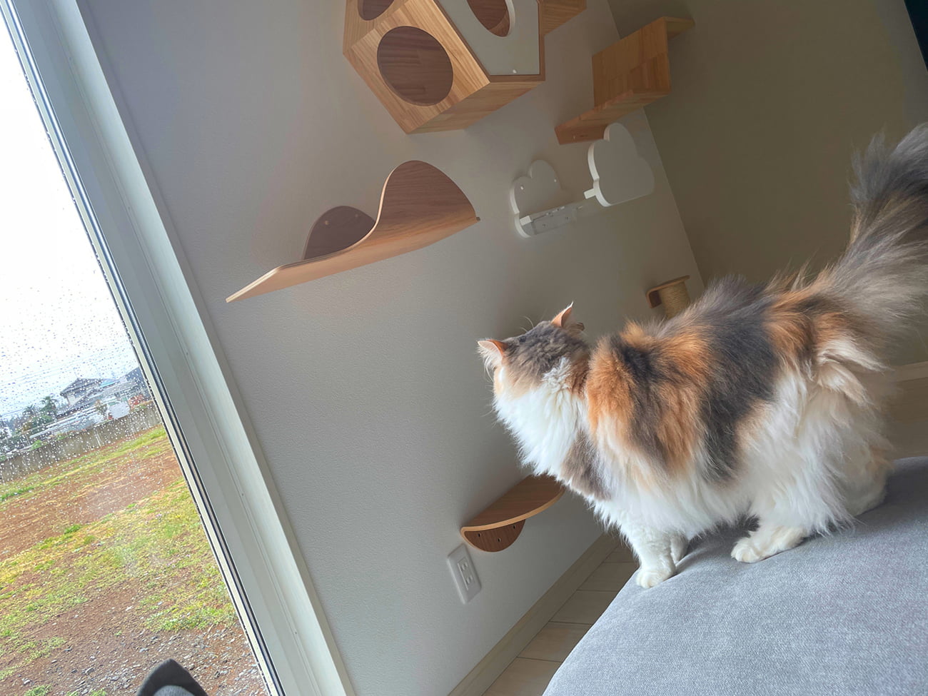 愛猫が窓からお出迎え。遊び心満載のキャットウォーク